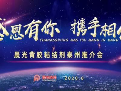 &ldquo;感恩有你 携手相伴&rdquo;，JN体育背胶粘结剂泰州推介会圆满举办